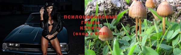 PSILOCYBIN Белокуриха