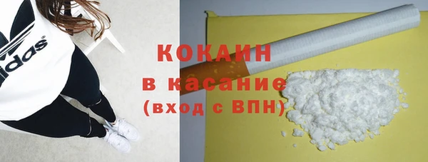 PSILOCYBIN Белокуриха