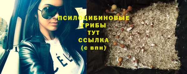 PSILOCYBIN Белокуриха