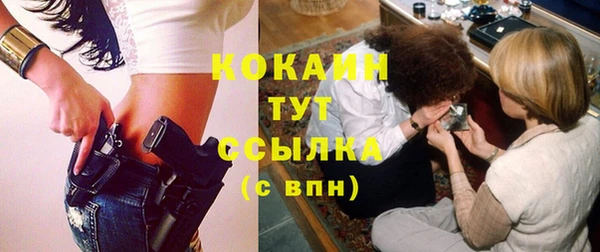 PSILOCYBIN Белокуриха